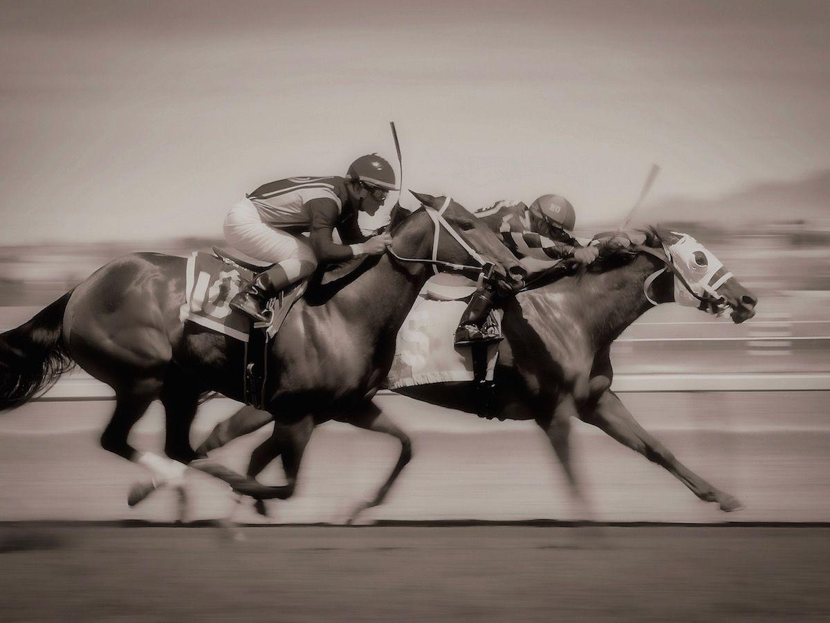 先锋公园广场酒店 艾爾帕索 外观 照片 Thoroughbred horses racing